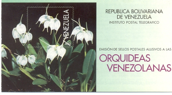 Orquídeas venezolanas
